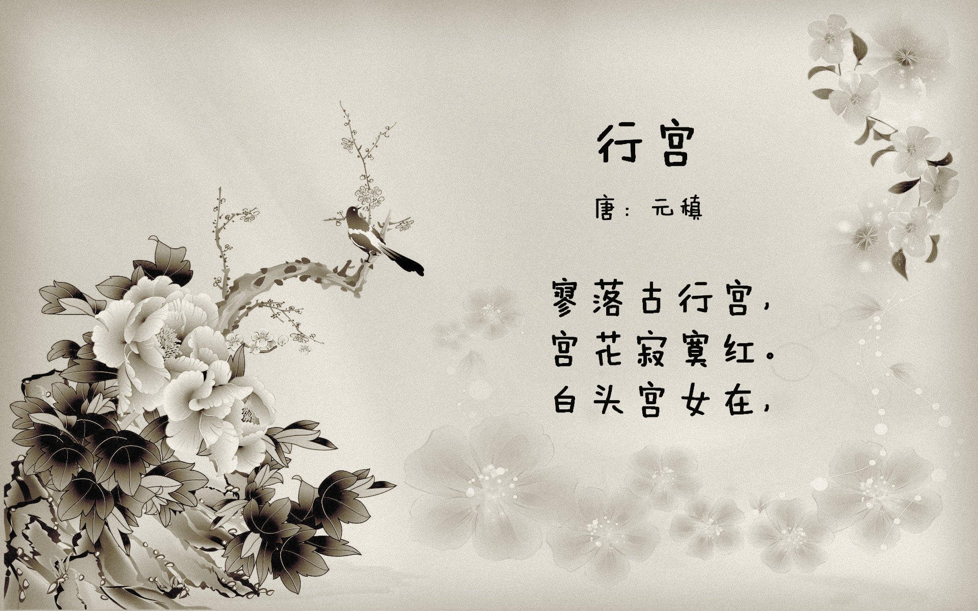 开云平台-国内外篮球大师赛在华举办，提升赛事国际影响力，篮球大师职业联赛