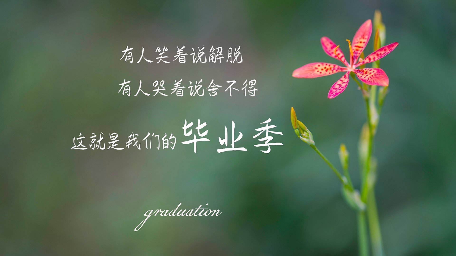 弗拉门戈新秀球员表现亮眼，弗拉门戈球衣