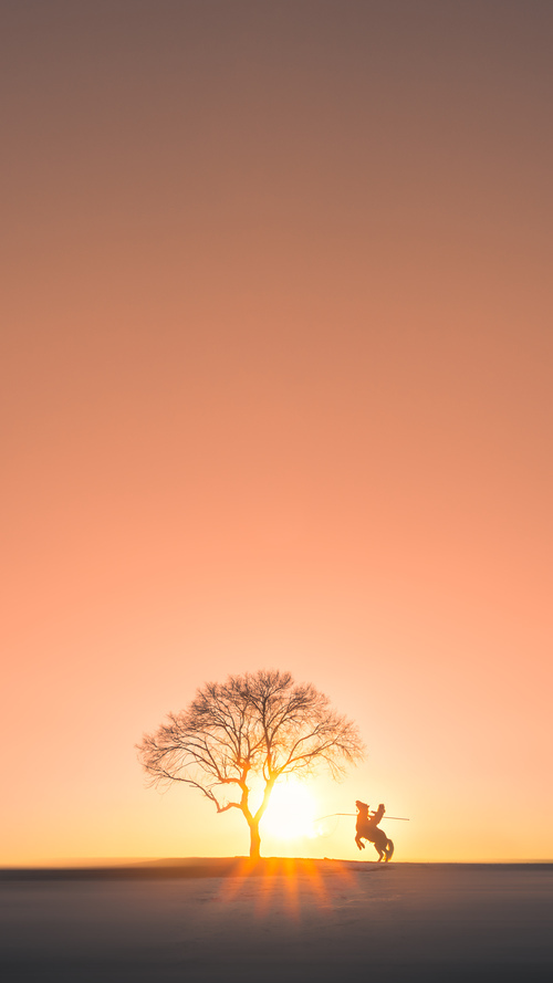 开云网页版登录入口-体育新闻内容算法推荐机制的公平性研究，体育新闻包括什么