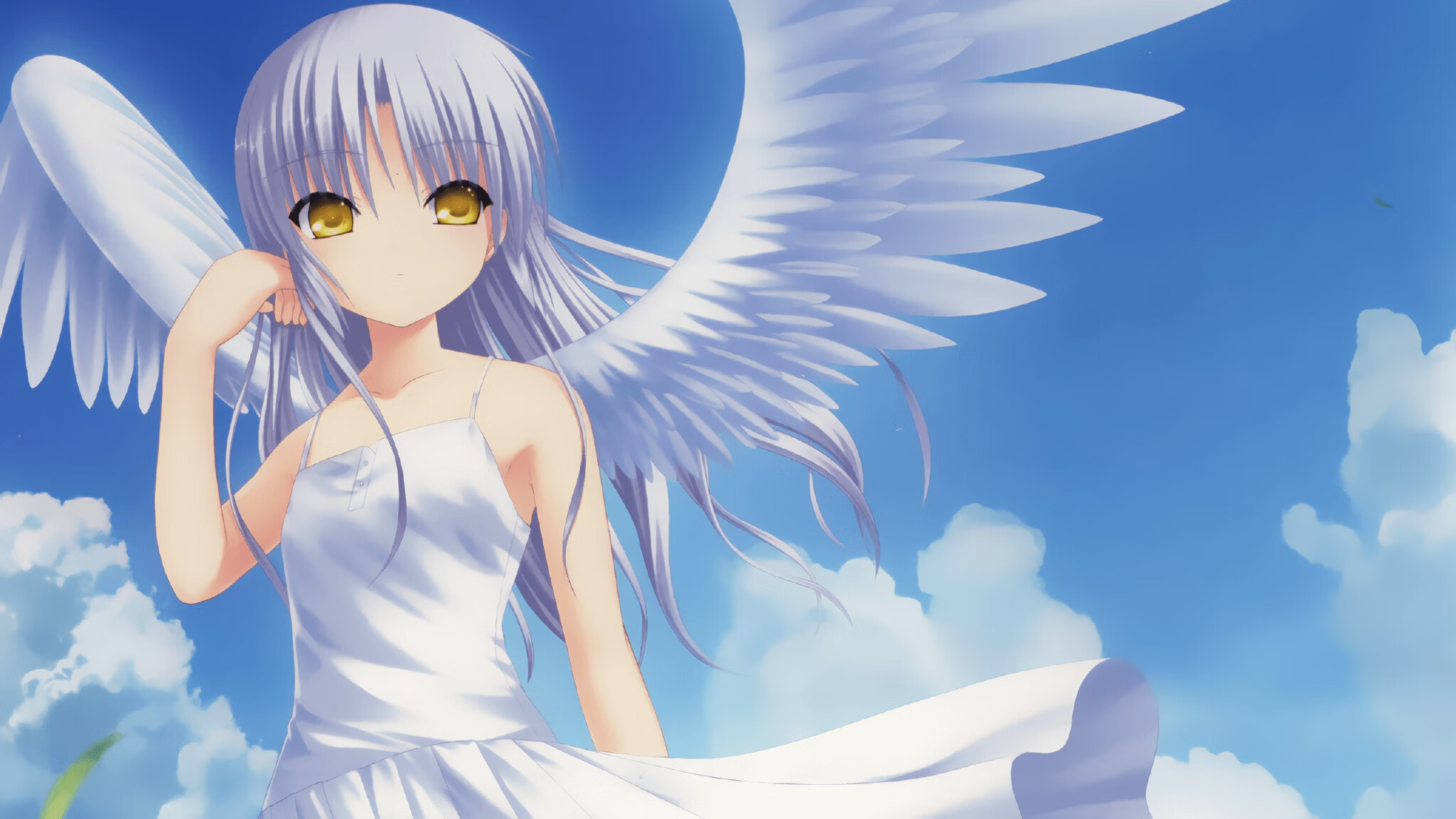 体育新闻中心开展体育传媒数字技能人才培养计划,体育培训数字化