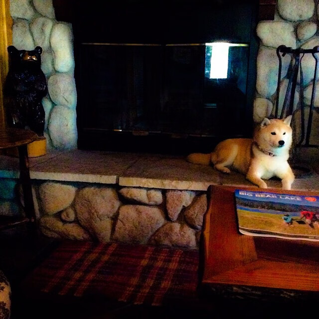 快节奏比赛中是否需简化战术执行内容,快节奏体现在哪些方面