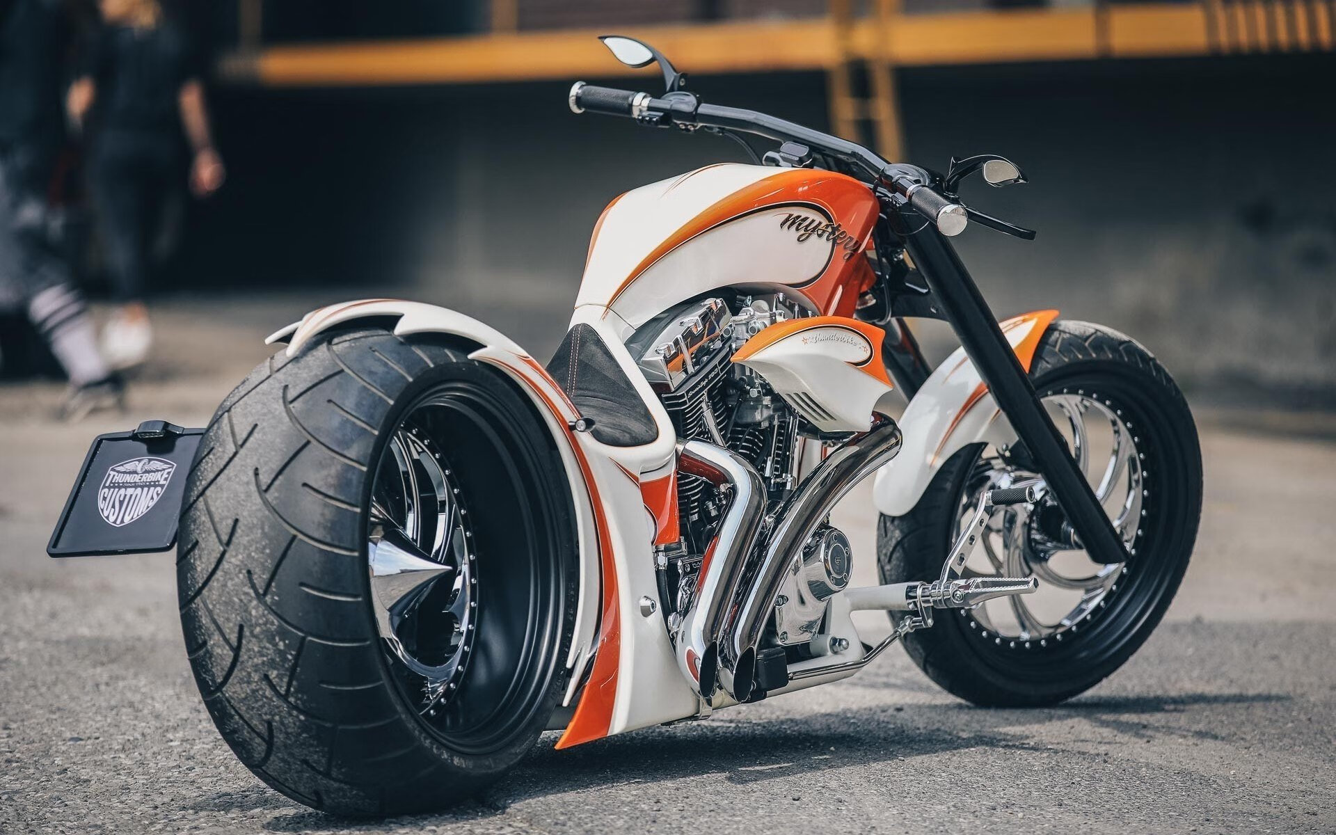 开云网站-浙江雄狮全明星阵容成就辉煌赛季表现，浙江雄狮篮球队