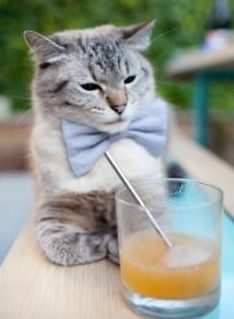 开云kaiyun-女子足球联赛开幕式盛况，2020女子足球