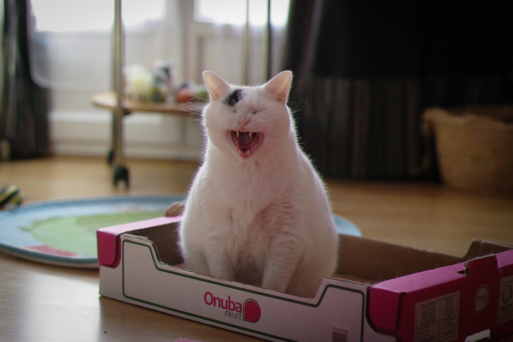 kaiyun官方入口登录-德甲攻防大战：节奏快、变化多，精彩不断！，德甲榜首大战