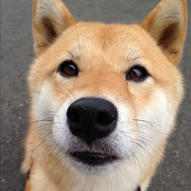 开云官方-贾瓦迪表现稳健 带动突尼斯泳坛热度，ht贾瓦人