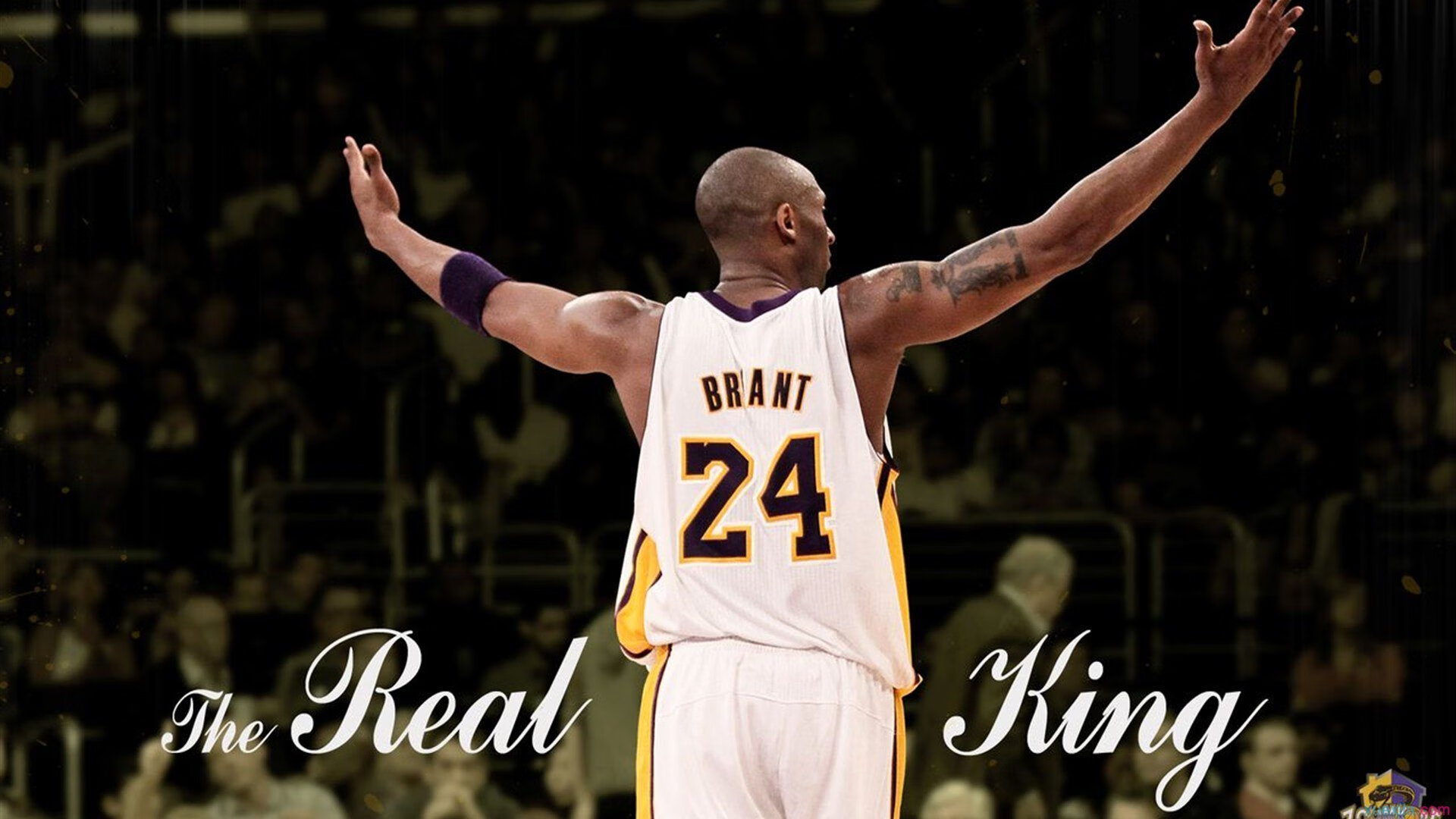 -_冠军争夺激烈，赛场气氛紧张升温_，冠军争夺赛第二局